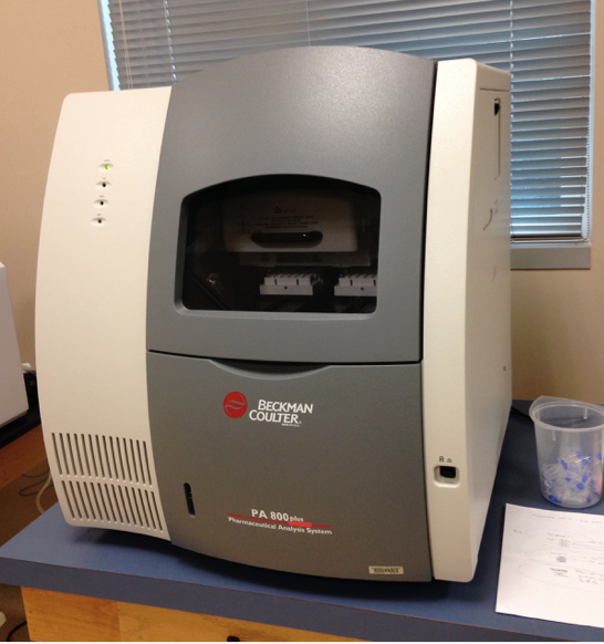 Beckman Coulter PA 800 Equipment