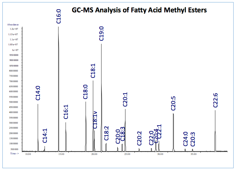 Fatty Acids Analysis graph