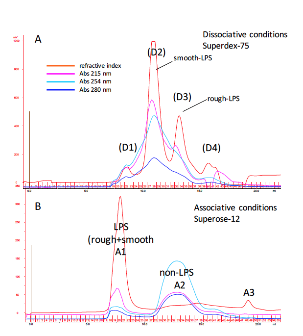Size exclusion chromatography (SEC) graph
