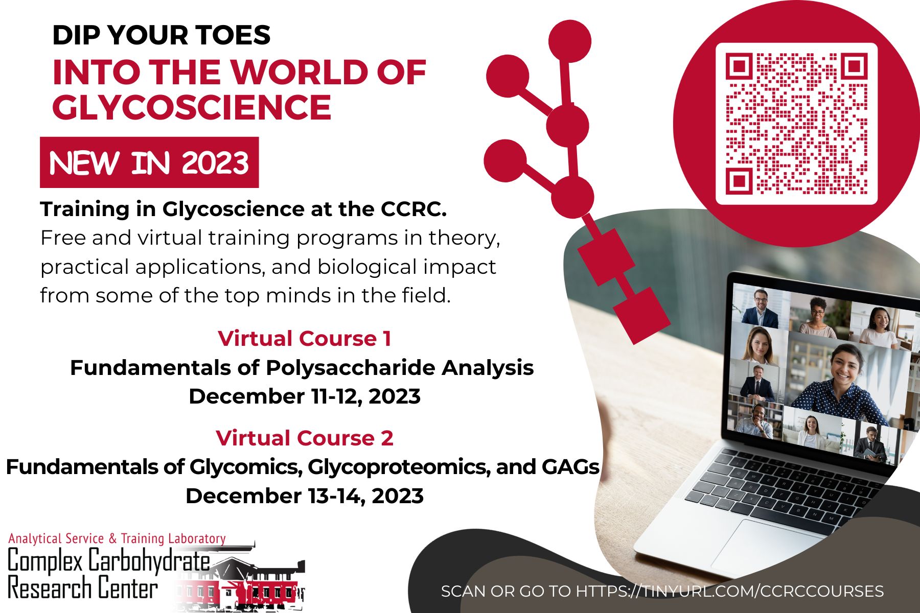 Training in Glycoscience flyer