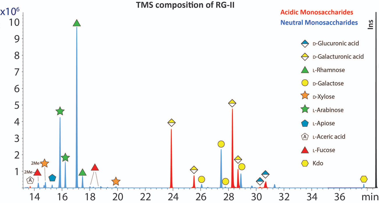 TMS Composition graphic