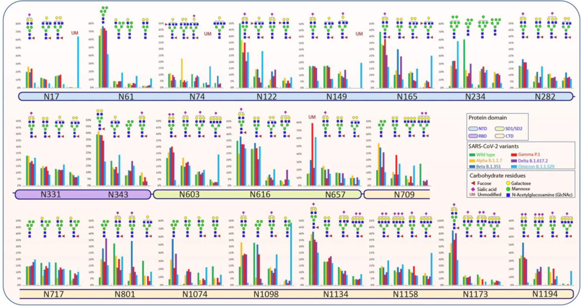 Figure 1. Relative abundances of four most intense glycoforms at each site of WT and VOCs.