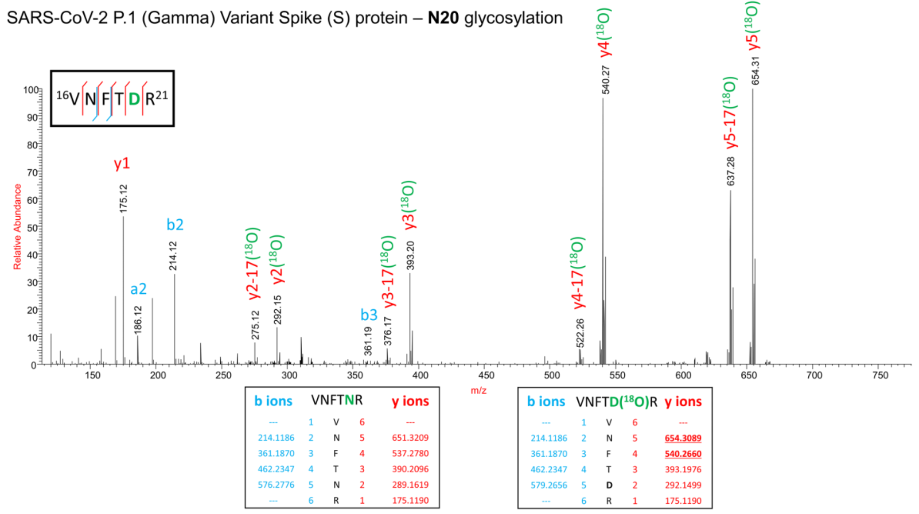 Figure 2. HCD MS/MS spectrum of the peptide VNFTNR showing b and y fragmant ion series, which confirms the presence of N-glycosylation at N20 site.