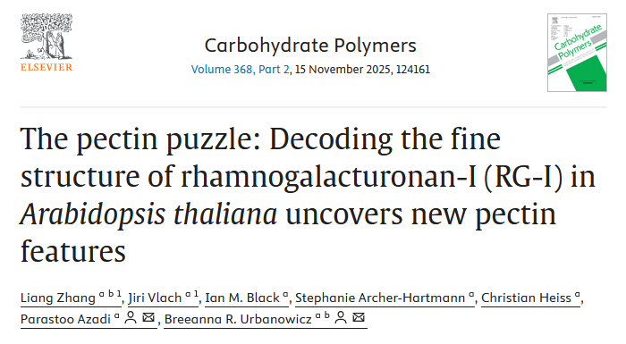 rg1 screenshot of article title