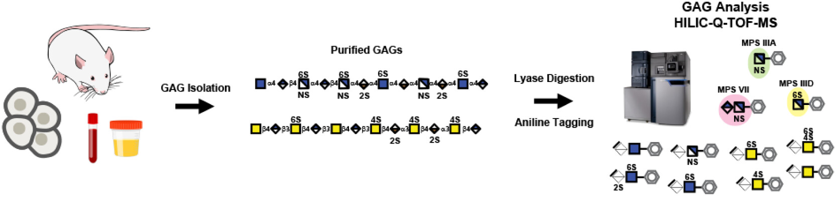 weiss glycan workflow